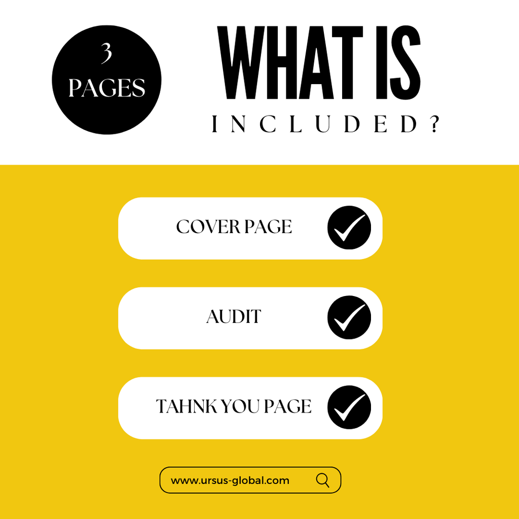 Social Media Mini Audit Template