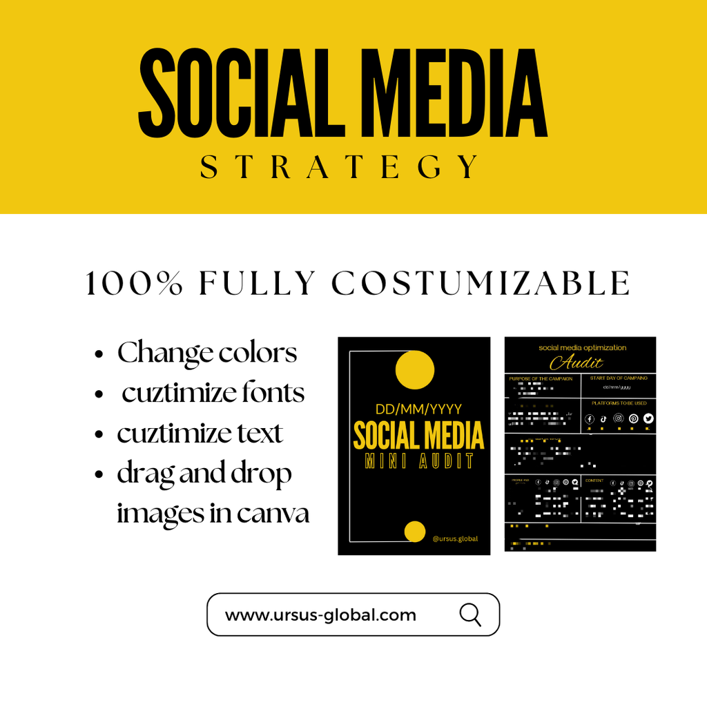 Social Media Mini Audit Template