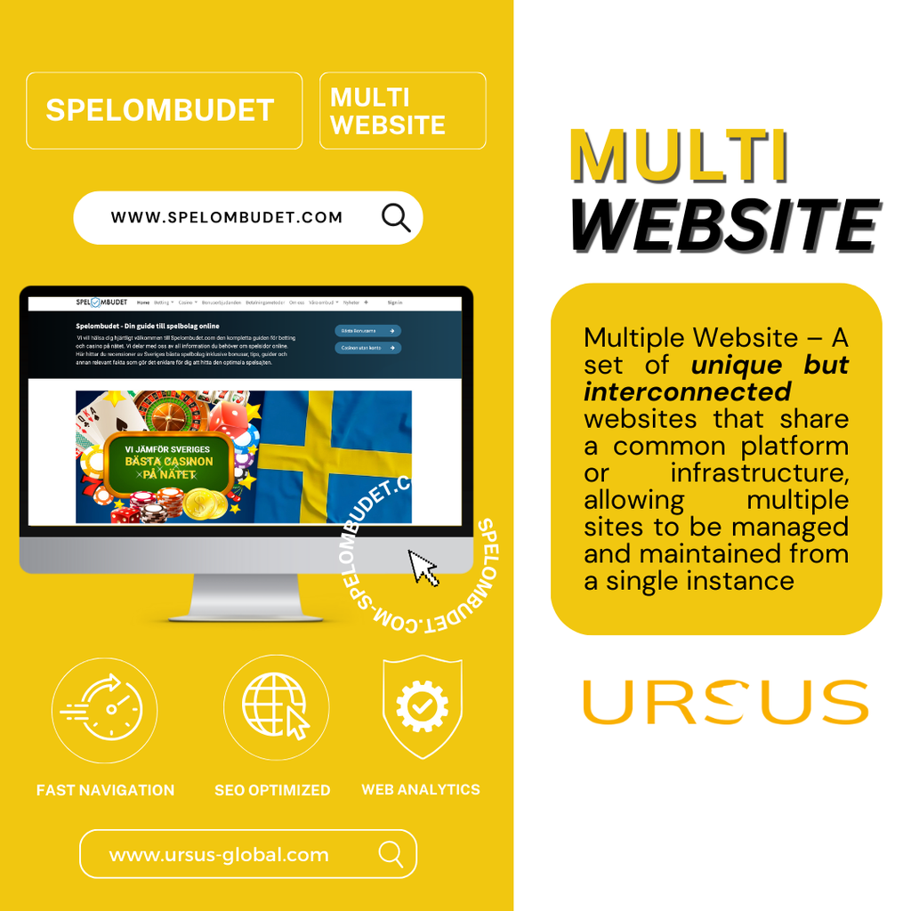 Multiple Website