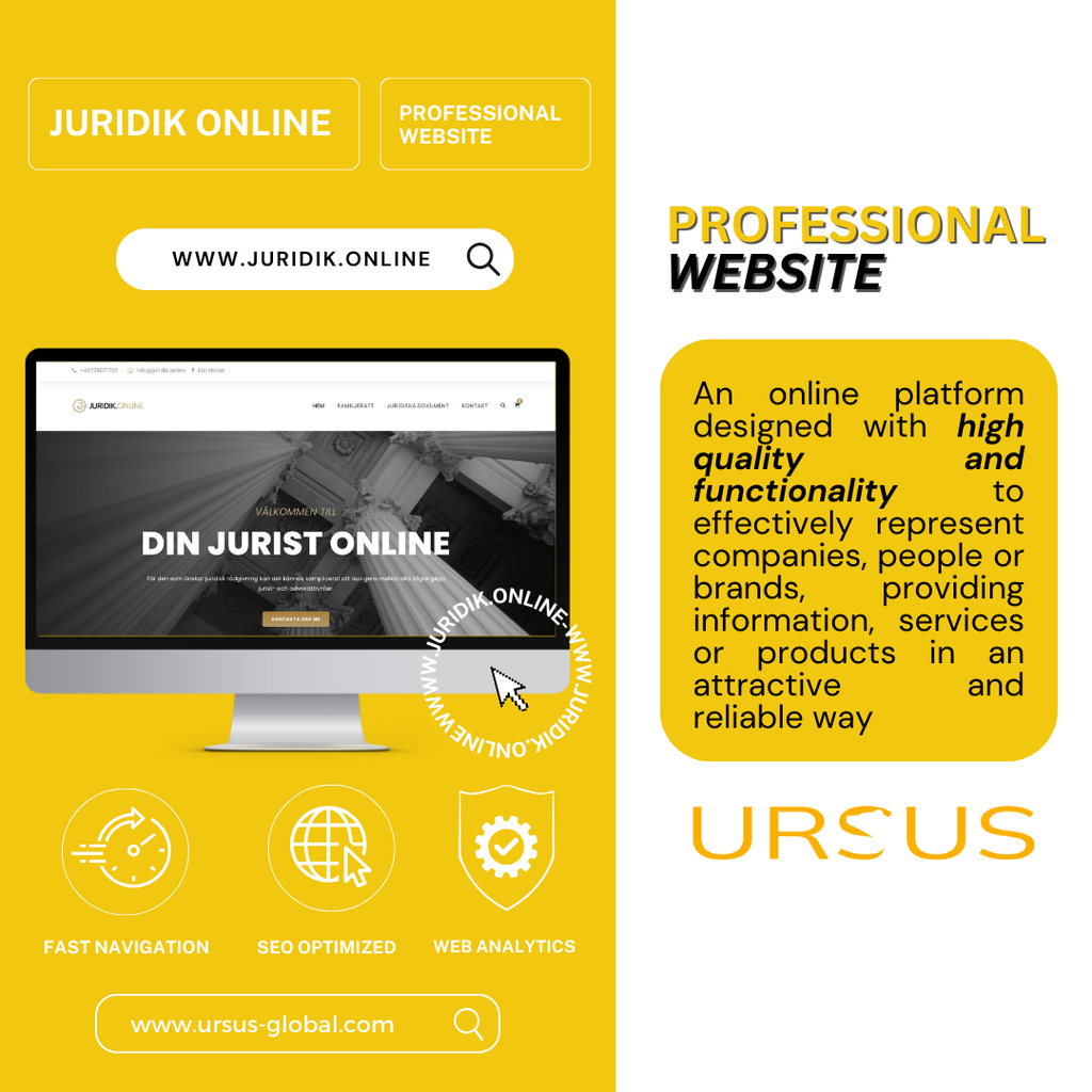 Professional Website