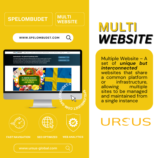 [WS-00001] Multiple Website