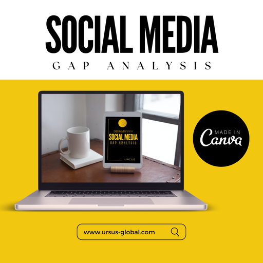 [DP-00006] Social Media Gap Analysis